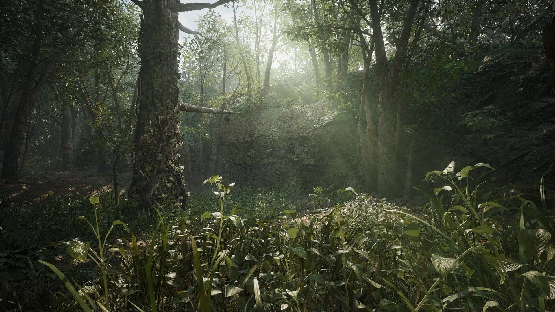 Screenshot from Metal Gear Solid Delta: Snake Eater