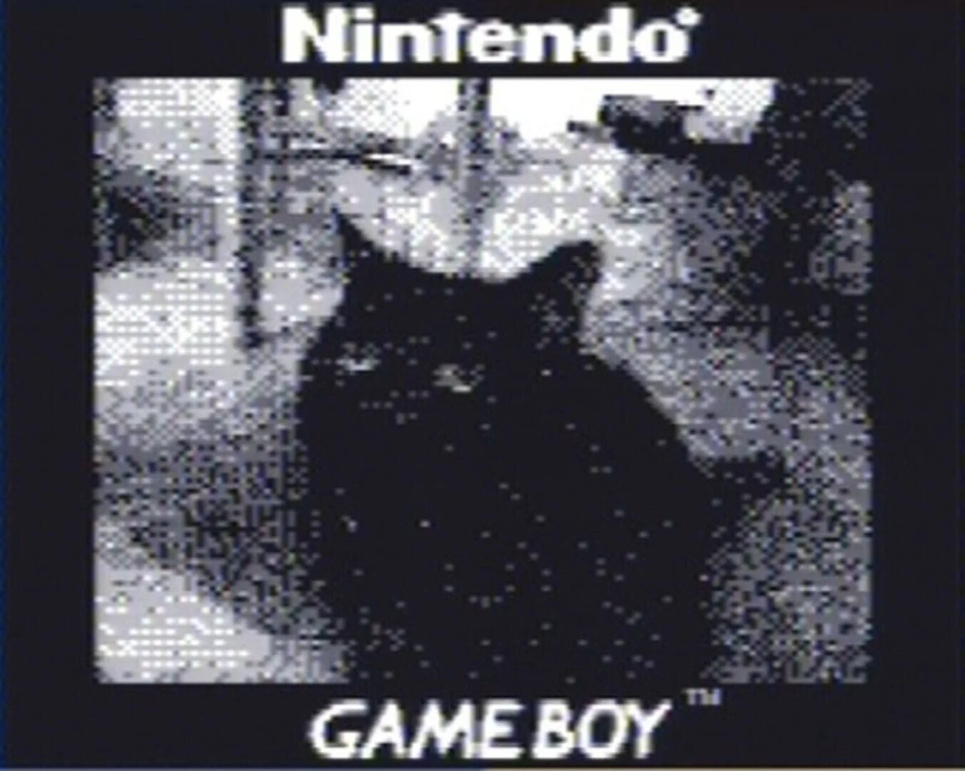 Screenshot from Game Boy Camera