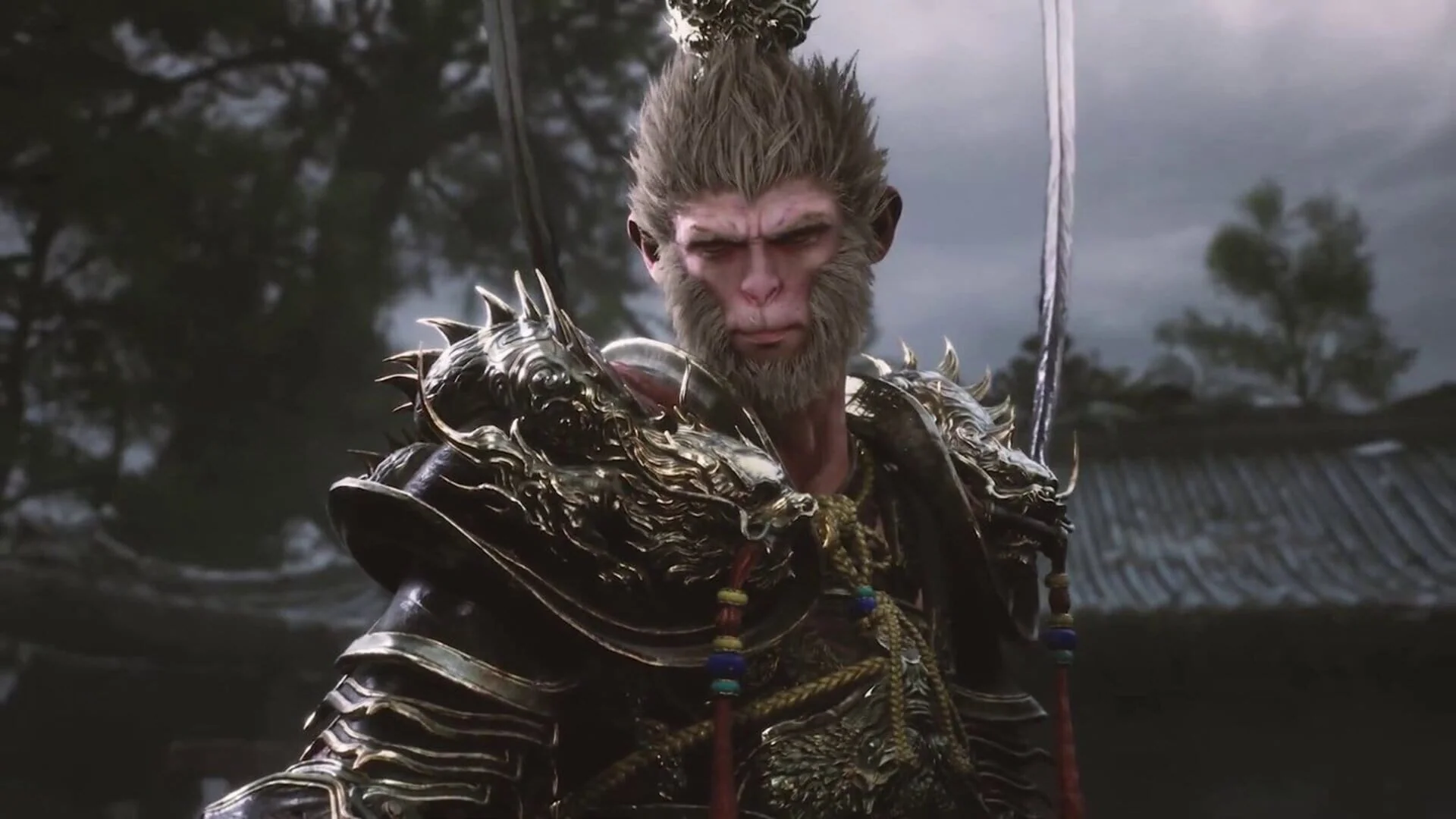 Additional visual content (2)