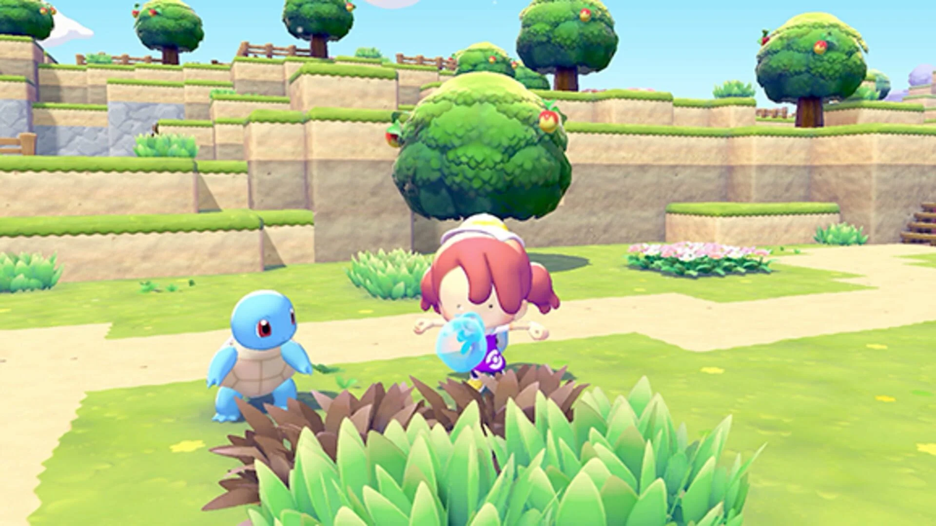 Guide Pokédex Pokopia : capturer via habitats et météo