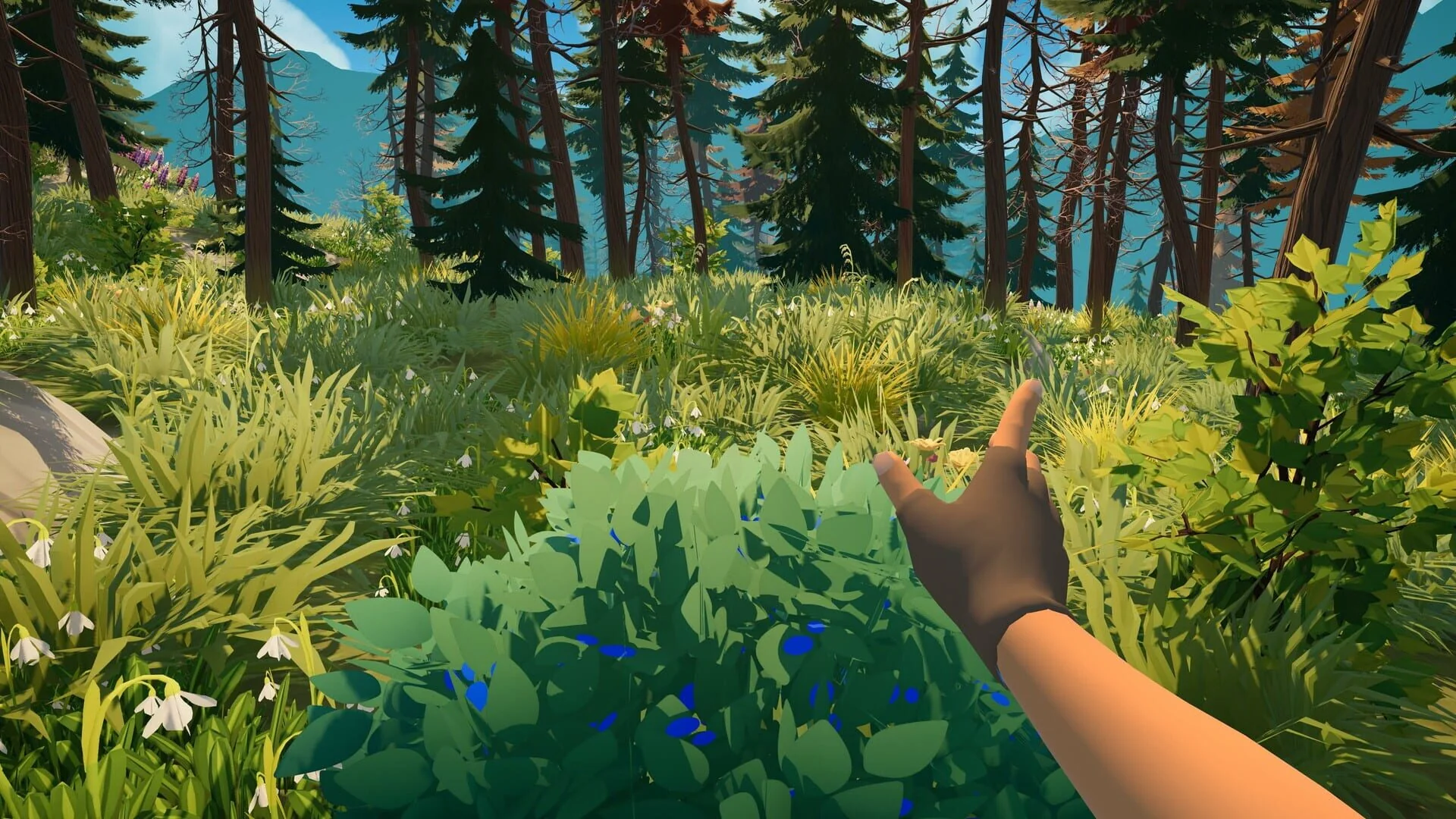Screenshot from Outbound
