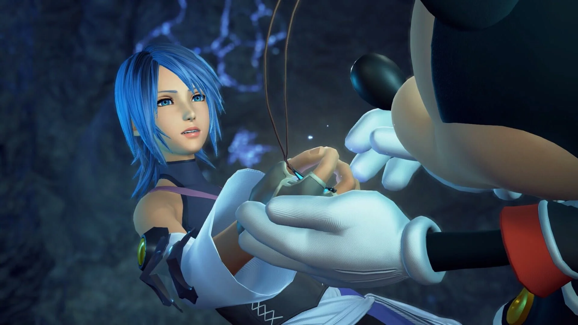 Screenshot from Kingdom Hearts Collection [I-III]
