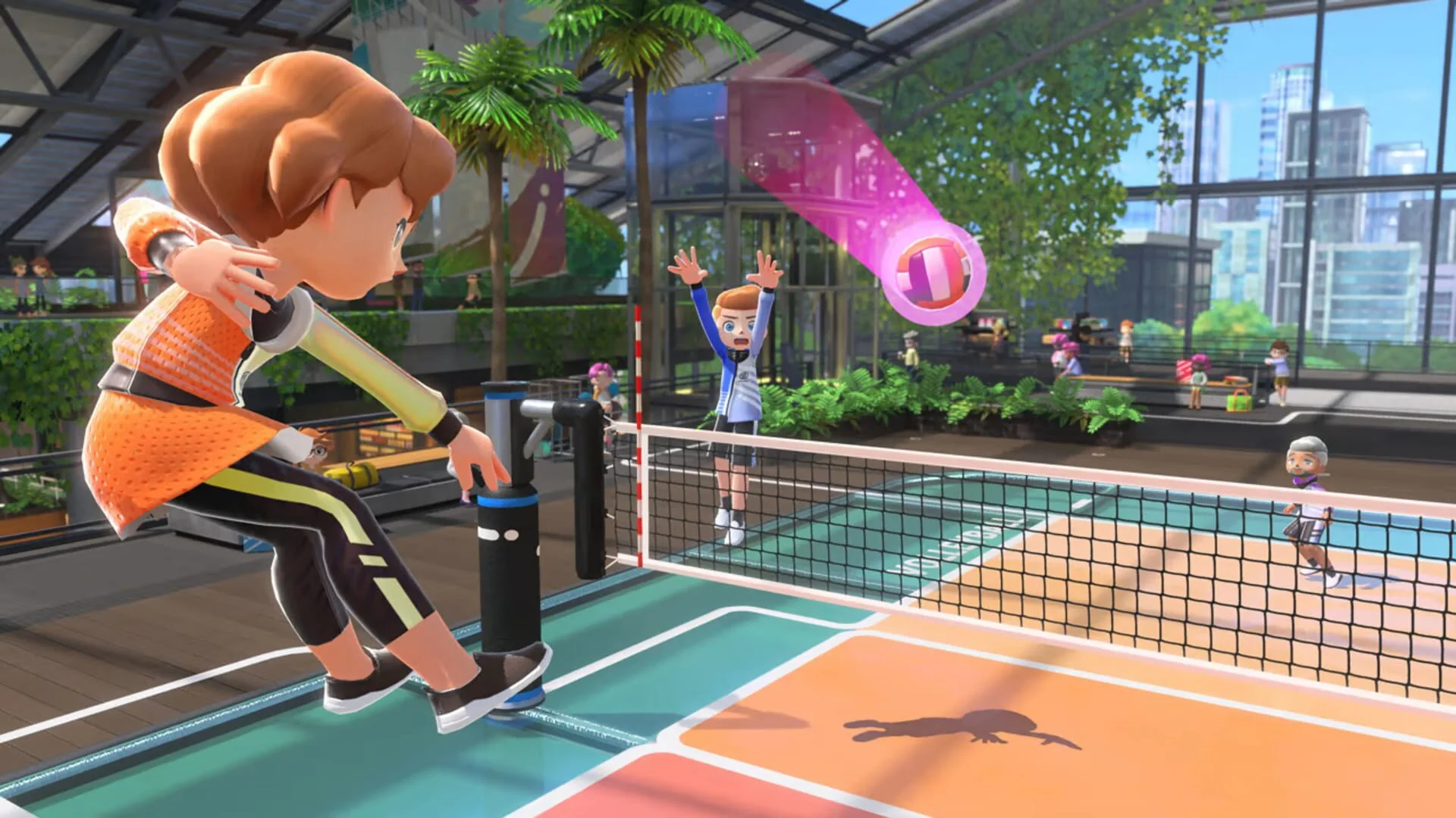 Screenshot from Nintendo Switch Sports