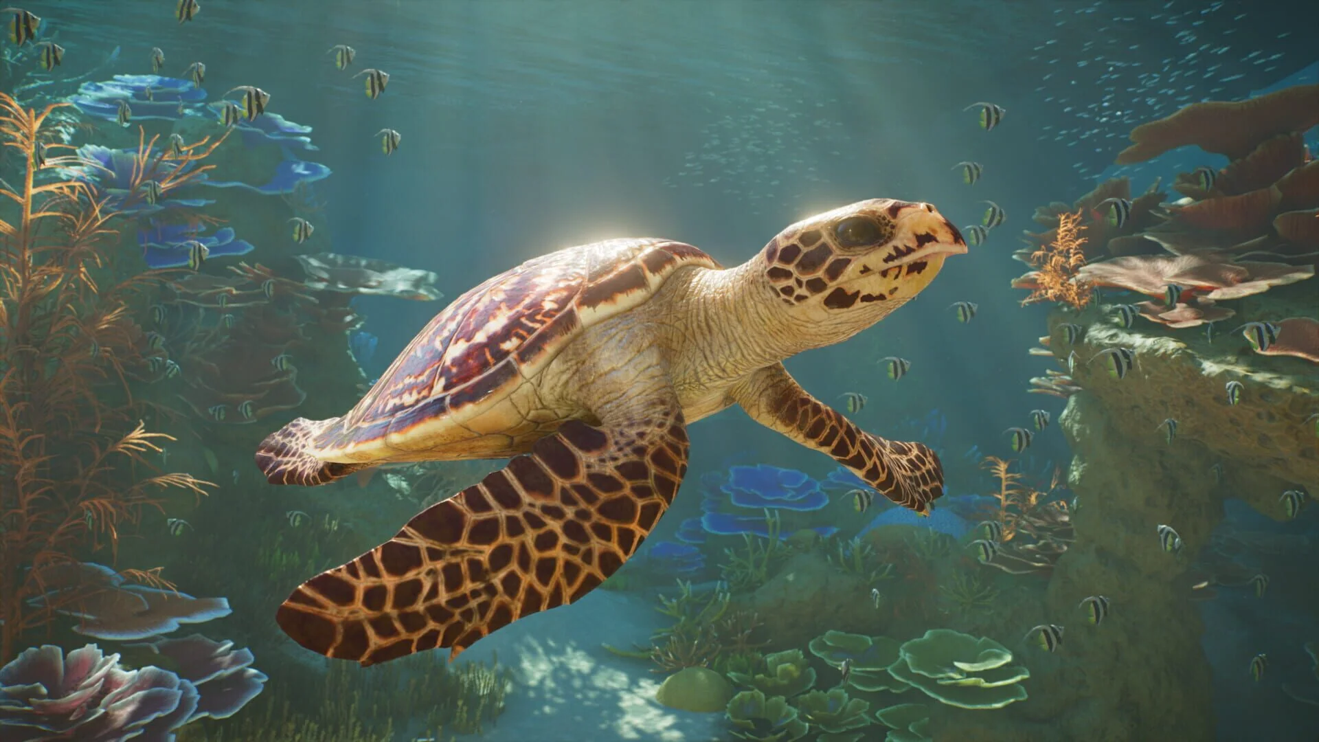 Screenshot from Planet Zoo 2
